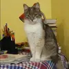 Отзыв от Елизавета Орлова